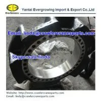 Dirve Tumbler/sprocket Wheel for Hitachi CX500 thumbnail-1