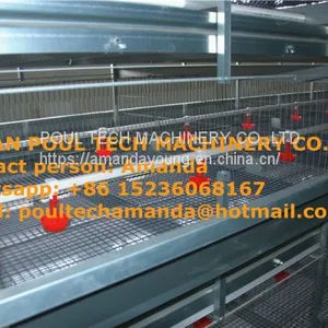 Brazil Poultry Farming Raising Chicken With Small Chicks Cage & Day Old Chicken in Coop & Chicken House thumbnail-1