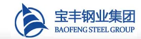 Baofeng Steel Group Co.,ltd