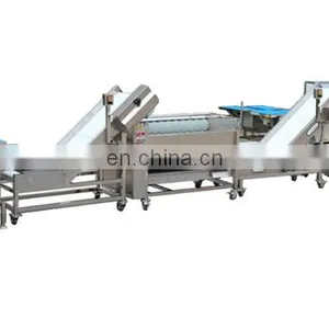 Rood Leaf Vegetables and Fruits Carrot Radish Apple Washing Cutting Packing Processing Machines Plant thumbnail-4