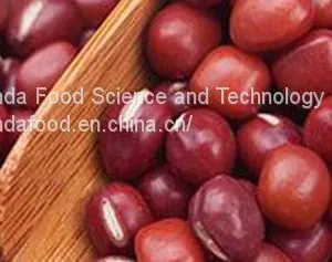 BEANS thumbnail-1