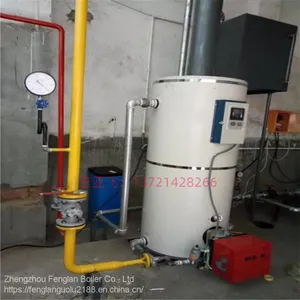 Supply of Gas Hot Water Boiler for Heating Small Rooms in Russia thumbnail-2