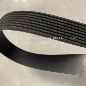 Poly Ribbed V Belt thumbnail-1