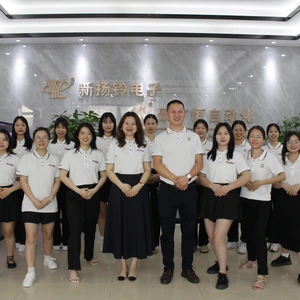 Dongguan Yangling Electronic Commerce Co., LTD company overview - view 1 thumbnail