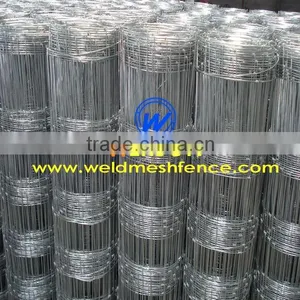 Hot Dipped Galvanized Hinge Joint Fencing Wire| Werson Fence thumbnail-1