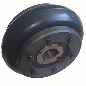 Customizable Rigid Iron Steel Aluminium Rubber Tyre Coupling OEM Support for Pumps Industrial Equipment Construction Industries thumbnail-4