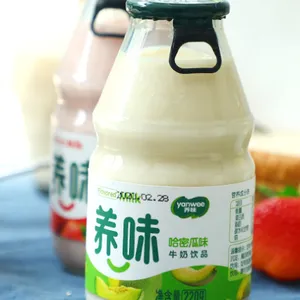 Small Scale Juice Milk Banana Strawberry Hami Melon Sweet Potatoes Milk Production Line thumbnail-1