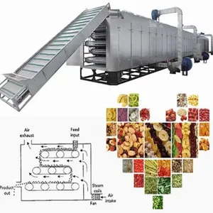 Genyond Machine Dried Lemon Mango Orange Continuous Belt Conveyor Tunnel Drying Machine on Sale thumbnail-5