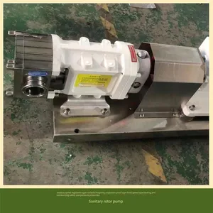 Lq3a Stainless Steel High-viscosity Pump, Screw Pump, Luoji Pump Industry Gear Speed-regulating Food Rotor Pump thumbnail-3