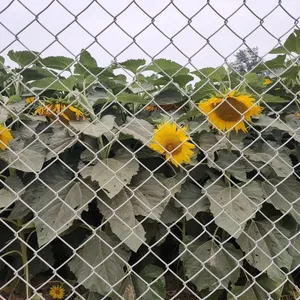 High Quality Heavy Gauge Welded Wire Mesh Panels With PVC Coating for Outdoor thumbnail-2