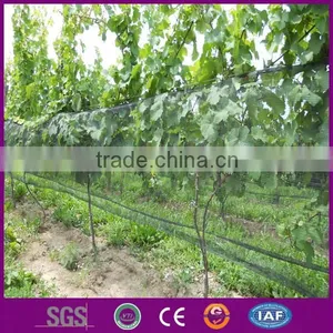 100% Virgin Plastic Knitted Strong Anti Bird Net thumbnail-1