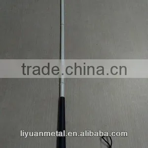 Cane for the Blind thumbnail-1