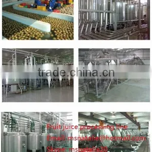 Fruit Juice Pasteurization Machine thumbnail-1