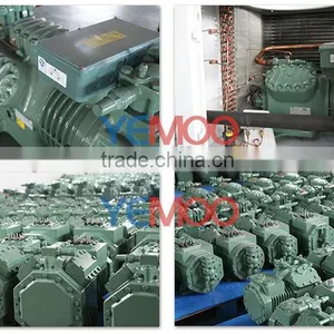 Yemoo R134a Refrigeration Cold Storage Bitzer Compressor 110v for Fruit Storage thumbnail-4