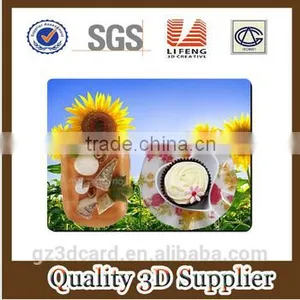 2015 Factory Supply Creative Lenticular PP/PET 3D Table Mat With Four Color Printing thumbnail-4