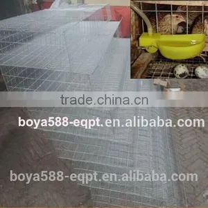 Watering System Quail Layer Cages for Poultry Farming thumbnail-2
