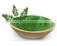Moringa Leaf Powder in India/common Cultivation Moringa Leaves/organic Cultivation Drumstick Leaves Exporters thumbnail-4