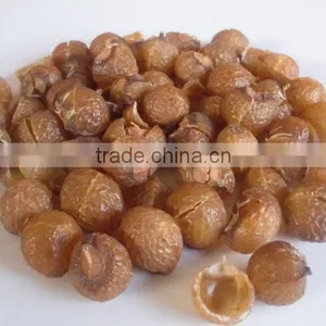 Compo Stable Wash Nut /Soap Nut thumbnail-1