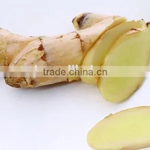 Sushi Ginger Flake thumbnail-3