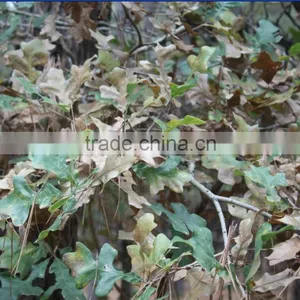 Water Transfer Printing Film thumbnail-1