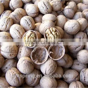 Thin Shell Walnut thumbnail-3