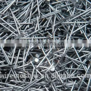 Galvanized Concrete Nails/Nails/Grooved Shank Nails thumbnail-1