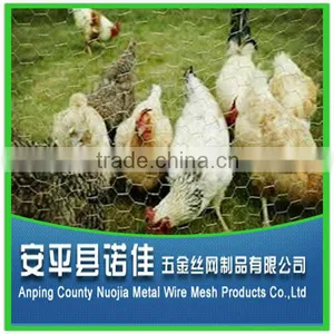 Chickeng Wire Netting / Hexagonal Wire Netting (manufacturer ISO9001 ) thumbnail-1