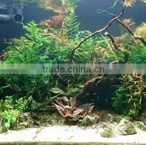 Wifi Controller Freshwater Led Aquarium Light Led Aquarium Light Red and Green Cool White 240cm Planted thumbnail-6