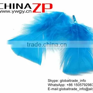 CHINAZP Factory Wholesale Dyed Turquoise Turkey T-Base Body Plumage Feathers for Decorations thumbnail-3