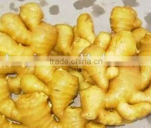 High Quality Tumeric Finger thumbnail-1
