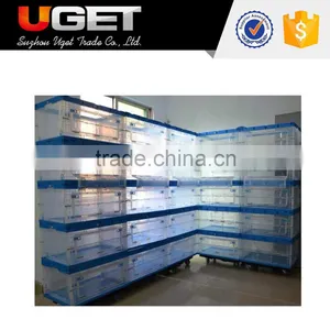 New Designed Transparent Side Door Fruit Plastic Foldable Crate thumbnail-6