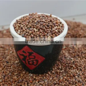 Red Sorghum With High Quality And Cooperate Price From China thumbnail-2
