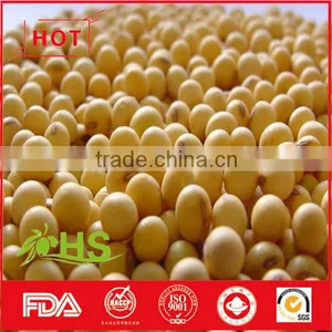 Hot Sale Dried Soybeans in Bulk With High Quality thumbnail-5