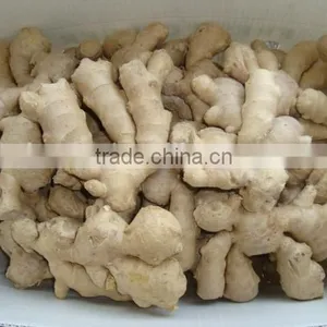 New Crop Ginger Root Ginger for Sale With Good Quality thumbnail-6