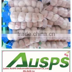 Wholesale Natural Fresh White Garlic With Nice Service thumbnail-4