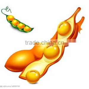 GMP Natural High Quality Phosphatidylserine(PS) From Soybean Extract thumbnail-4