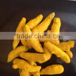 Turmeric Nizamabad thumbnail-3