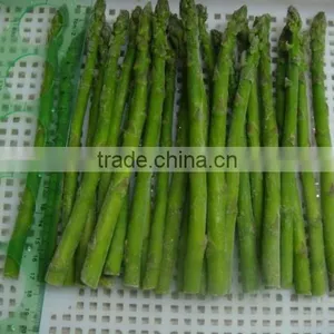 Top Quality Frozen Green Asparagus for 1 kg Packed per Carton thumbnail-4