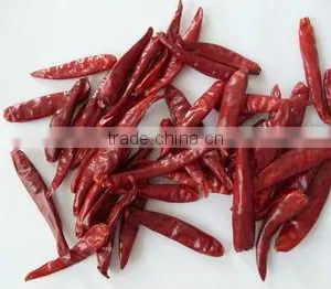 Organic Chilly thumbnail-1