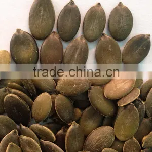 Grown Without Shell Pumpkin Seeds Grade AA thumbnail-2
