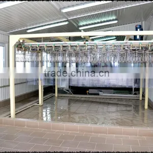 Chicken Broiler Slaughtering Line Line Dressing Equipments thumbnail-2