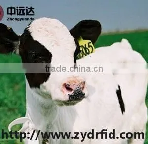 Small LF/UHF Rfid Cattle/ Goat /rabbit Animal Ear Tag thumbnail-4