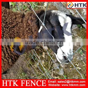 China Suppliers HTK Galvanised Hinge-lock Animal Fence thumbnail-3