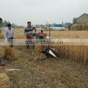 4GK80 Mini Reaper Binder Machine India thumbnail-4