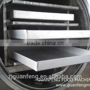 Food Freeze Dryer Machine for Drying Mango thumbnail-4