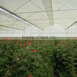Tropical Greenhouse thumbnail-1