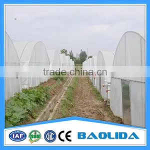 Low Cost Tunnel Greenhouse thumbnail-2