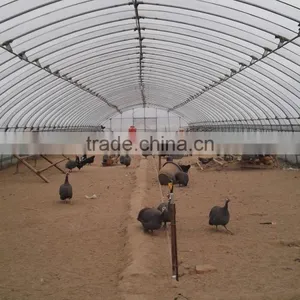 High Quality Commercial/agricultural Used Film Covering Greenhouse for Sale thumbnail-2