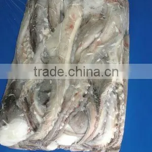 Giant Squid Tentacles thumbnail-1