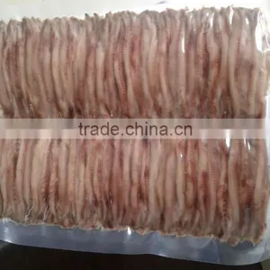 Hot Sales Landing Frozen Anchovy thumbnail-6